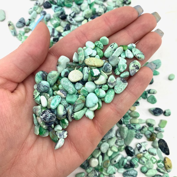 25g Variscite Chips, Gemstone Variscite Chip, Mini Variscite, Polished Variscite