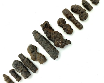 Prophecy Stone, Small, Medium, Large, Natural Prophecy Stone, Egypt Prophecy Stone, P-167