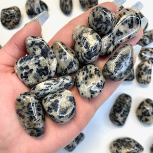 Tourmaline, Quartz, Feldspar Tumbled Stone, Tumbled &quot;Guinea Fowl&quot;, Small Tourmaline and Quartz, Healing Guinea Fowl, P-172