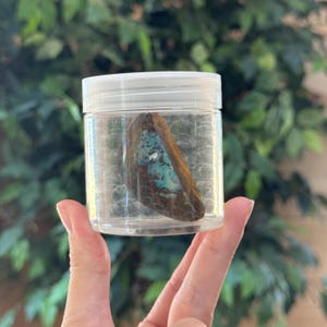 以下が含まれることがあります： 白いスクリューキャップが付いた透明な円筒形のプラスチック容器に、磨かれた石が1つ入っています。この石は、濃い茶色の外縁と、鮮やかなターコイズブルーと青の鉱物堆積物による質感のある内部模様が特徴です。