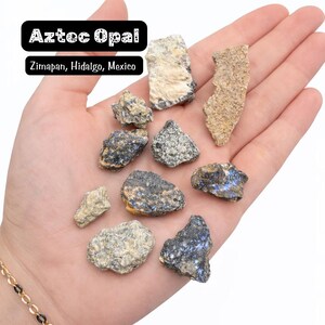 May include: A collection of rough Aztec Opal gemstones in various shapes and sizes, held in a hand. The stones display a mix of gray, beige, and blue hues. Text on the image reads "Aztec Opal" and "Zimapán, Hidalgo, Mexico."