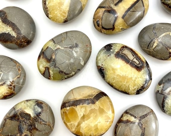 Natural Septarian Gemstone Septarian 34X56X6 MM Superb Septarian Oval Shape Cabochon Loose Stone Healing Stone Jewelry Making Septarian