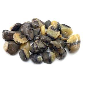 Septarian Tumbled Stone, Tumbled Septarian, Polished Septarian, Pocket Septarian, T-72
