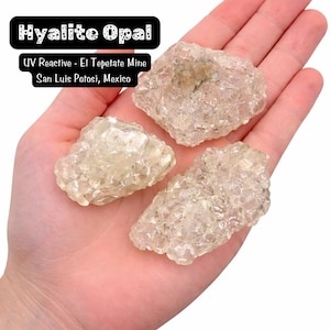 May include: Three translucent, light-coloured Hyalite Opal stones, with a rough, crystalline texture, are displayed in a hand. The image includes text that reads "Hyalite Opal", "UV Reactive - El Tepetate Mine", and "San Luis Potosi, Mexico".