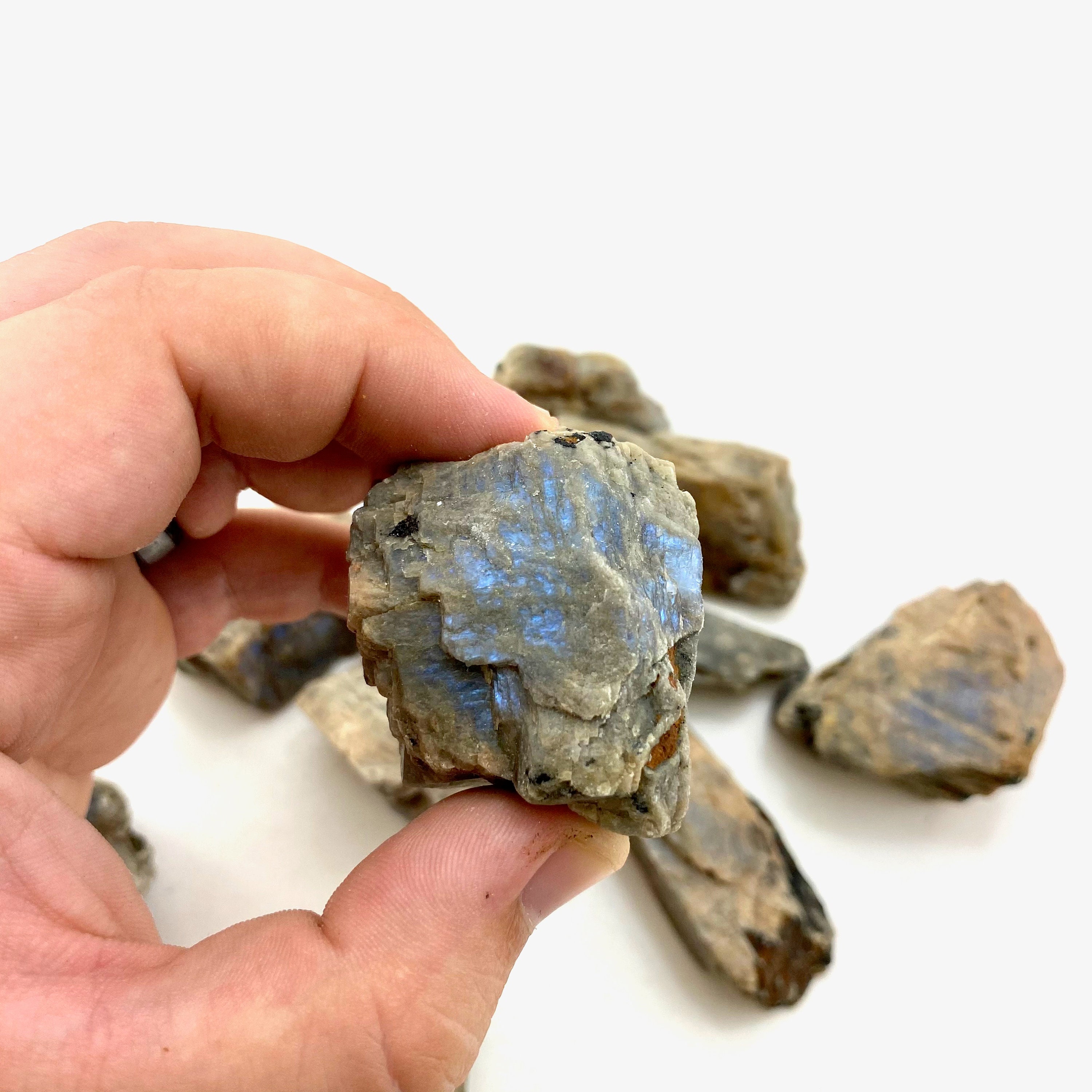 NEW Wisconsin Moonstone Electric Blue Flash Rough Moonstone Etsy