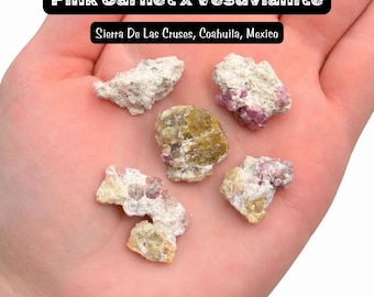 ONE Pink Garnet and Vesuvianite Specimen - Mexico - Natural PINK Garnet