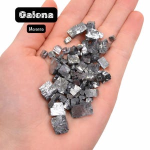 May include: A handful of galena crystals from Morocco. The crystals are a metallic gray color and appear to be cubic in shape. The image includes a black label with the word "Galena" and "Morocco".