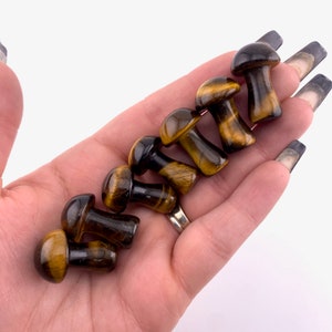 1&quot; Tigers Eye Mushroom, Small Tigers Eye Mushroom, Tigers Eye Carving, Mushroom Carving Tigers Eye, P-122