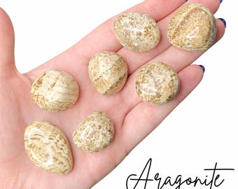 Aragonite Tumbled Stone, Tumbled Aragonite, Pocket Aragonite, T-8