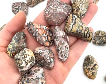 Leopardskin Jasper, Tumbled Leopard Jasper, Spotted Jasper, Healing Leopard Jasper T-123