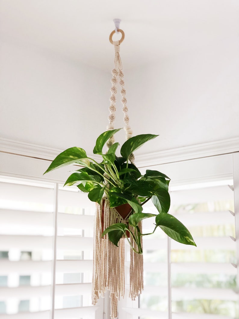 Macrame plant hanging with fringe