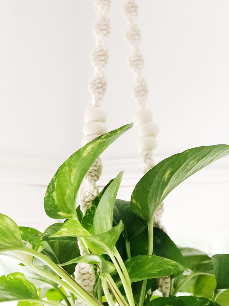 Macrame plant hanging with fringe
