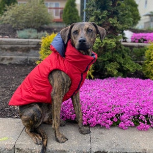 Style Warm Outdoor Dog Jacket