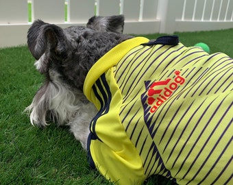 uswnt dog jersey