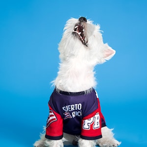 NY Rangers Dog Hoodie 