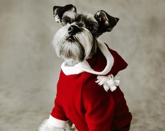 Santa Claus Dog Costume