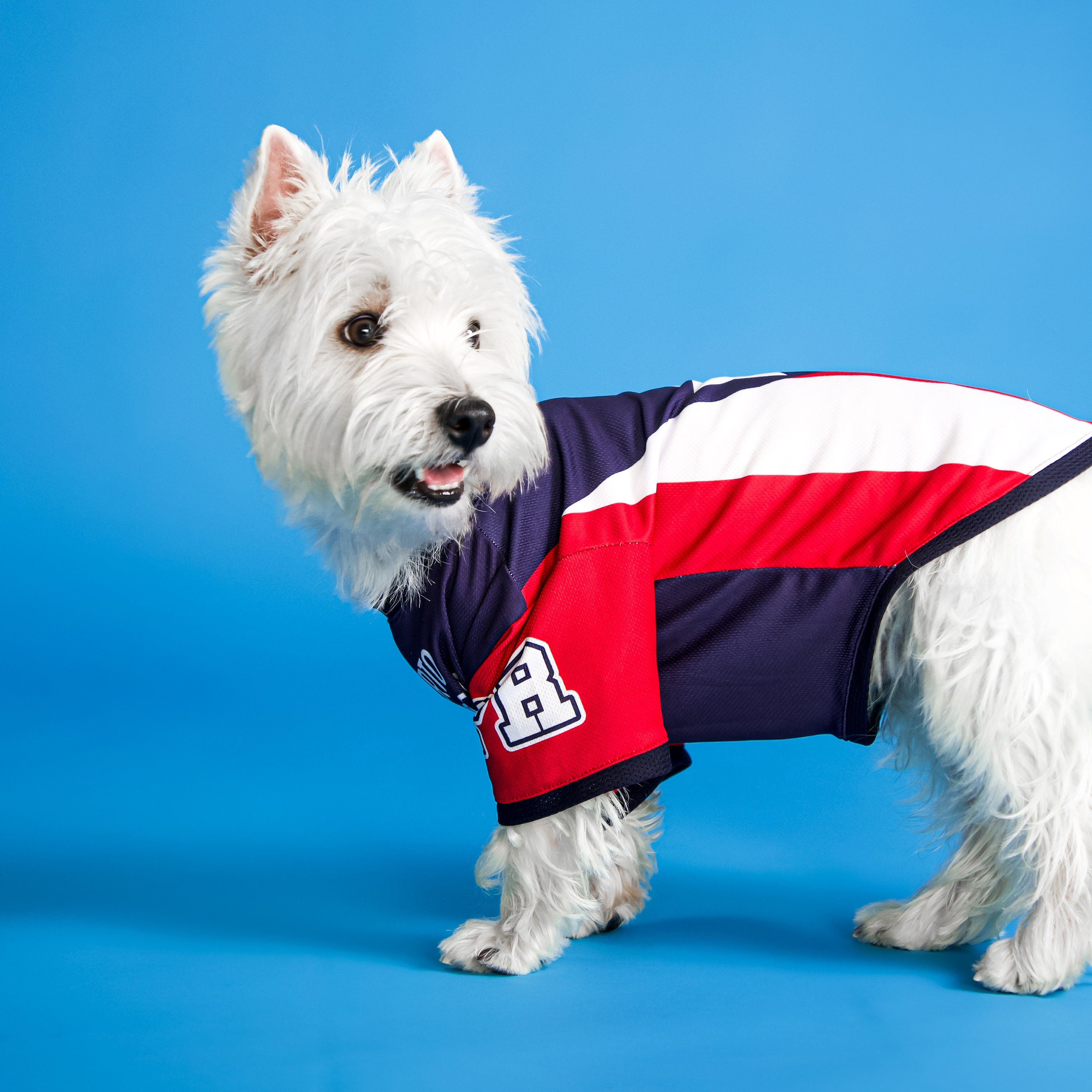 New York Rangers Pet Jersey - XS