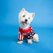 Dog USA Official Shirt 2022 DREAM TEAM 