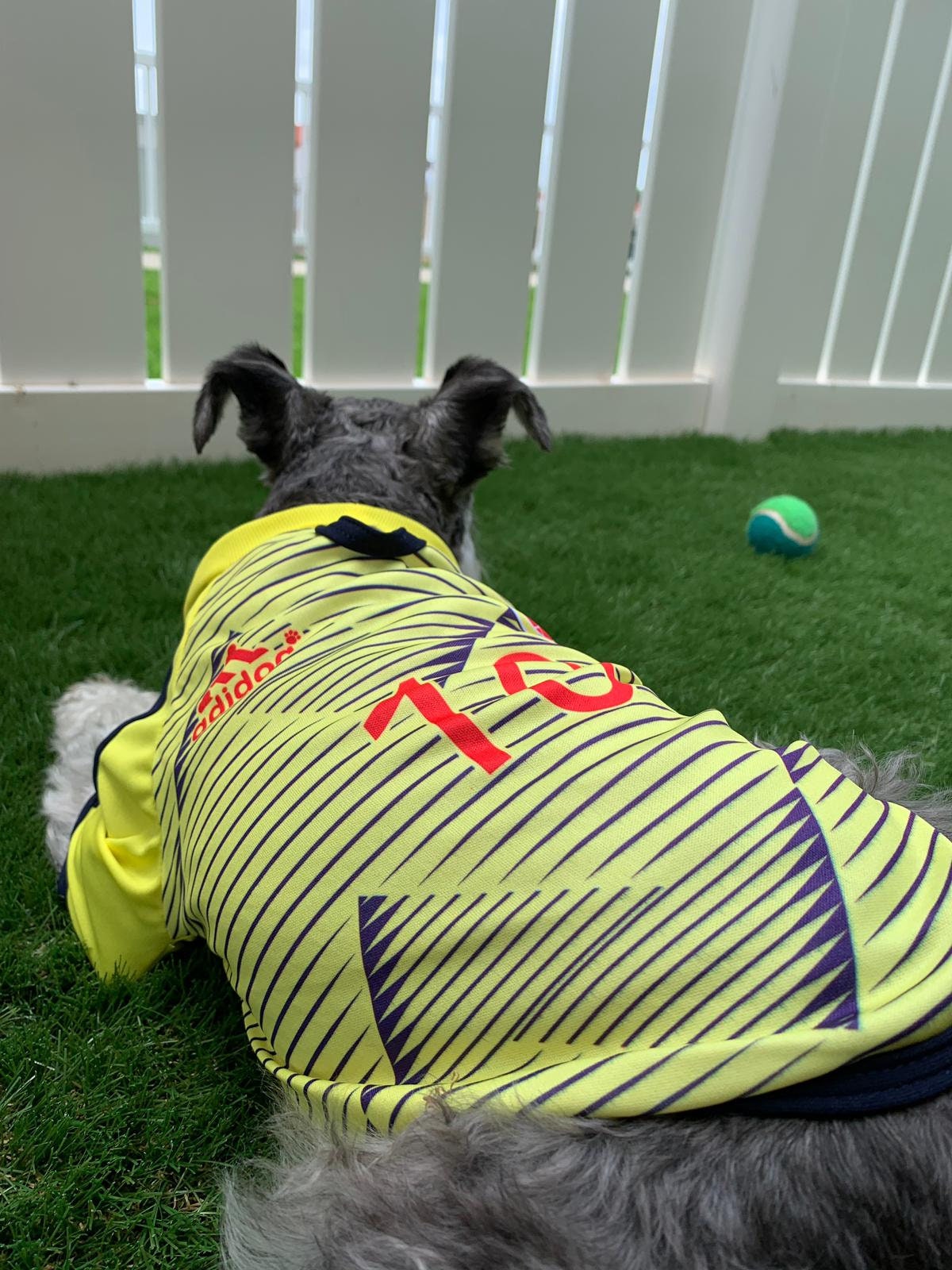 Colombia Football Dog Jersey 
