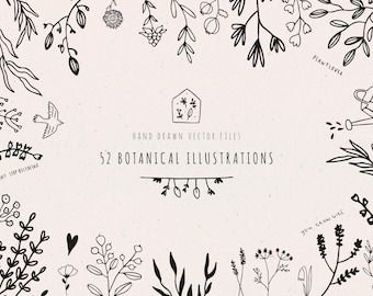 Può includere: Un set di 52 illustrazioni botaniche disegnate a mano, tra cui fiori, foglie e rami. Le illustrazioni sono in bianco e nero e hanno uno stile semplice e minimalista. Il testo "HAND DRAWN VECTOR FILES" e "52 BOTANICAL ILLUSTRATIONS" è incluso nell'immagine.