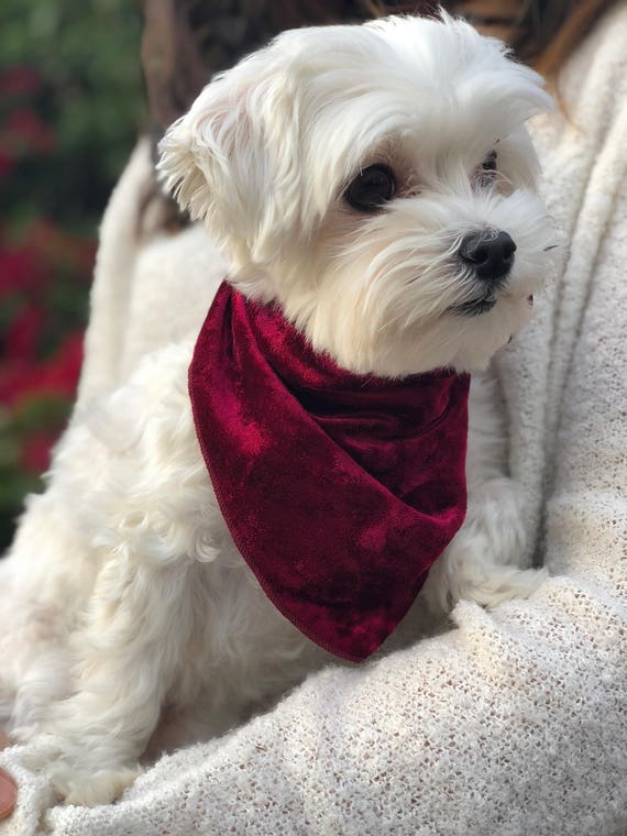 Crushed Velvet Dog Bandana Luxury Dog Bandana Christmas Dog Bandana