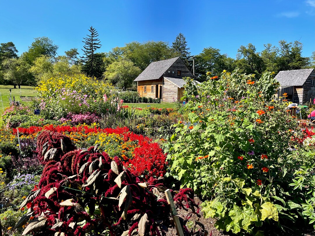 Fort Ticonderoga Gardens New York Etsy