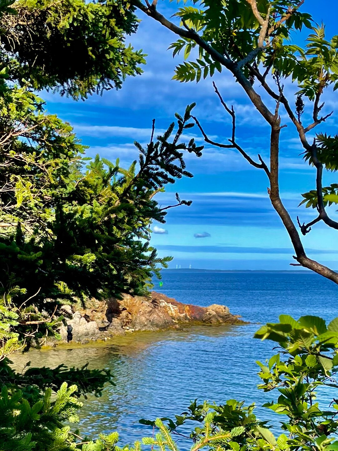 Owls Head Maine Midcoast Maine Penobscot Bay Atlantic Etsy