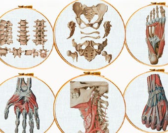 Anatomy Cross Stitch Patterns PDF Bundle, Vintage Medical Embroidery Set, Gothic Skeleton Counted Cross Stitch Charts, Embroidery Medical