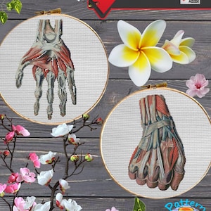 KITS Structure Arms #124 Cross Stitch Anatomical | Anatomy Cross Stitch | Modern Cross Stitch | Science Cross Stitch | Medical Cross Stitch