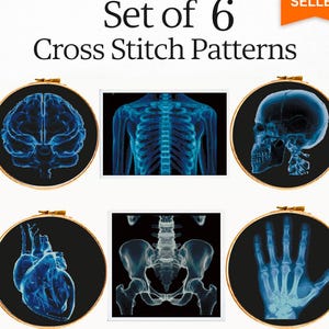 Human Anatomy X Ray Cross Stitch Bundle PDF, Skull Brain Heart Hand Rib Cage Embroidery Patterns, Medical Wall Art Set, Pattern Keeper