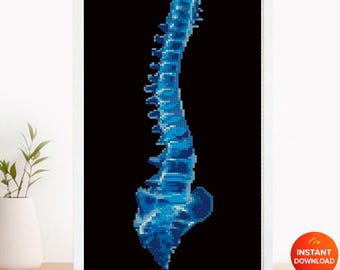 Blue Spine Cross Stitch Pattern PDF, Human Spine Anatomy Embroidery, Medical Cross Stitch, Gothic Anatomy Art, Xray Skeleton Stitch Download