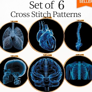 Könnte beinhalten: Ein Set aus 6 Kreuzstichmustern mit blauen anatomischen Illustrationen menschlicher Organe und Knochen auf schwarzem Hintergrund, präsentiert in hölzernen Stickrahmen. Der Text umfasst "Set of 6 Cross Stitch Patterns", "BEST SELLER" und "INSTANT DOWNLOAD PDF PATTERNS".