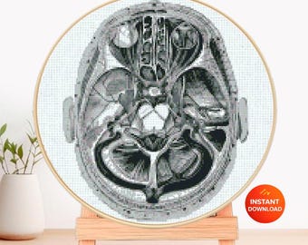 May include: A cross stitch pattern displayed in a wooden embroidery hoop on a small wooden easel. The design features a detailed black and white anatomical cross-section of a human head, showing brain structures. Text reads PDF PATTERN, CROSS STITCH PATTERN, and INSTANT DOWNLOAD.
