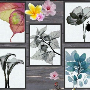 Modern Botanical Cross Stitch Pattern Set PDF, 5 Minimal Floral & Leaf Designs, Blackwork Style, Instant Download, Hoop Wall Art pattern pdf