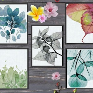 Botanical Leaf Cross Stitch Pattern Set PDF, 5 Modern Minimal Floral Designs, Watercolor Blackwork Style, Instant Download, Hoop Wall Art