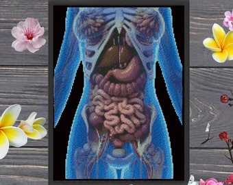 Anatomical #346 Cross Stitch Skull, Needlepoint, Anatomy Cross Stitch, Modern embroidery designs, Science Stitch, Medical Cross Stitch, PDF