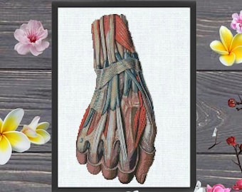 Arm Cross Stitch Pattern PDF, Modern Cross Stitch, Anatomy Cross Stitch, Muscles, Skeleton, Heart Cross, Watercolor Skull Cross Stitch