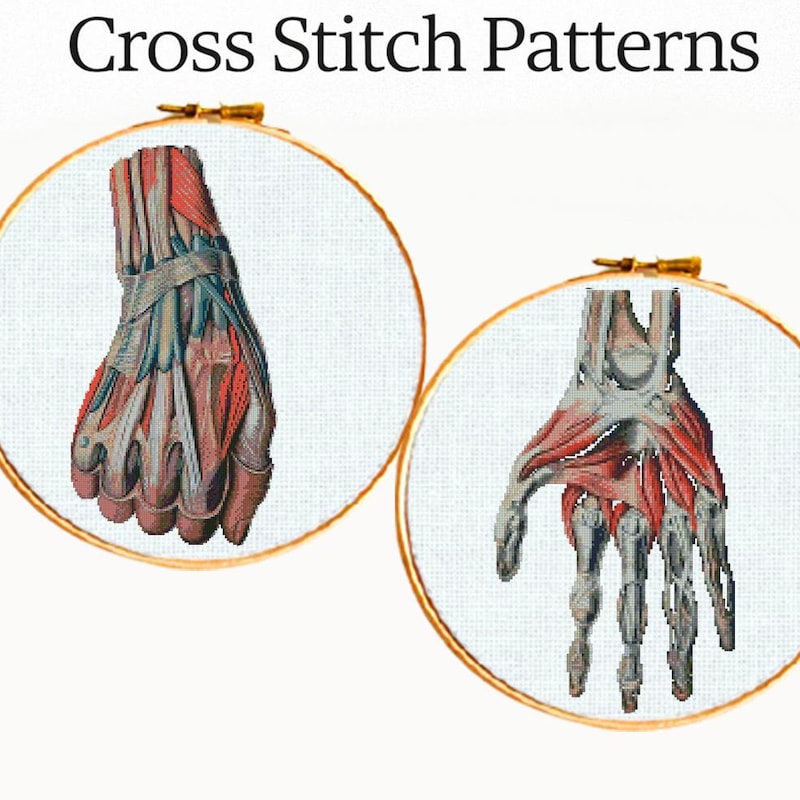 Anatomy Embroidery Kit - Etsy UK
