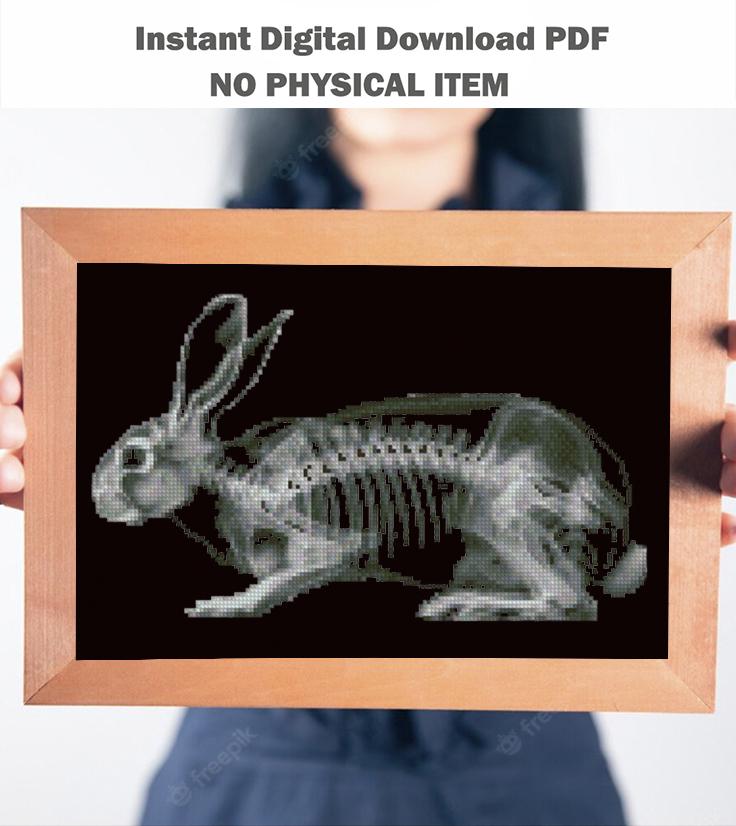 X-ray Rabbit Cross Stitch Pattern PDF, Anatomical Bunny Skeleton ...