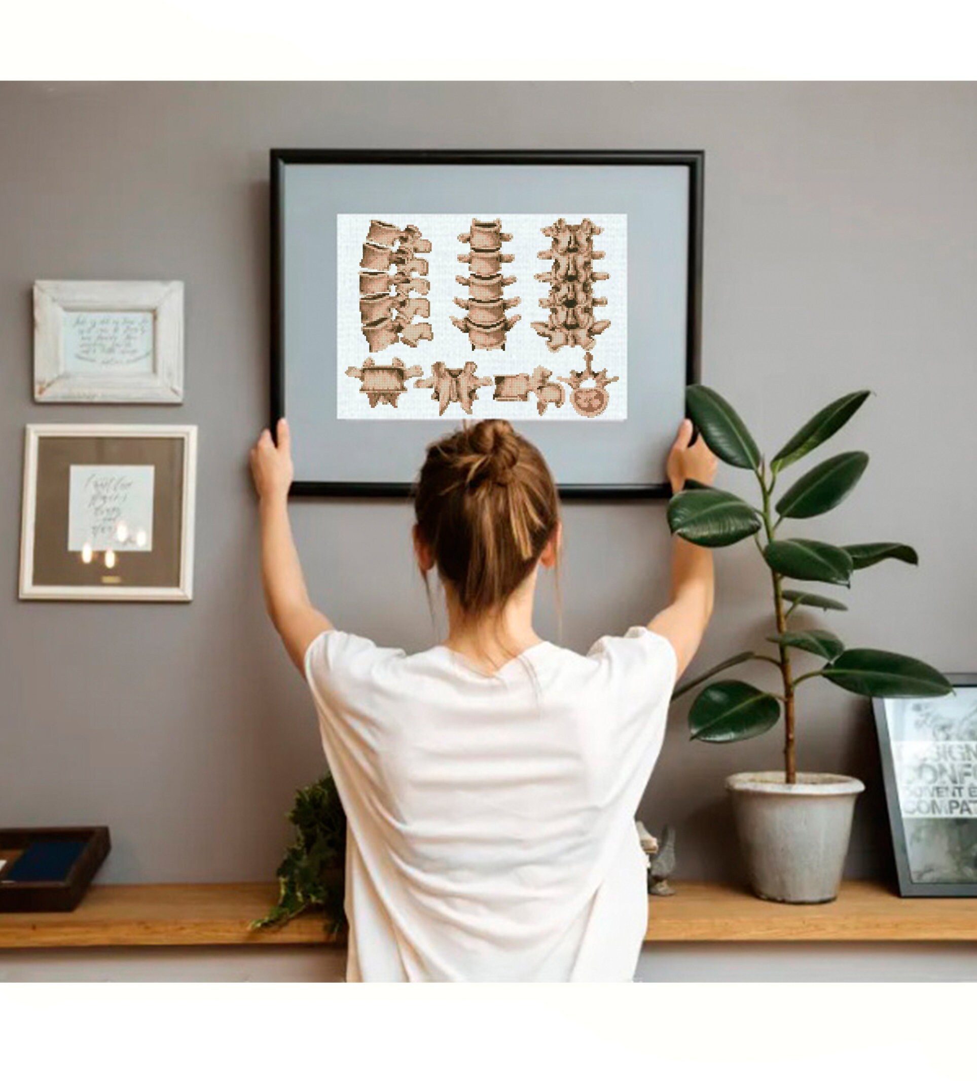 Vertebrae Anatomy Cross Stitch Pattern PDF, Vintage Spine Illustration ...