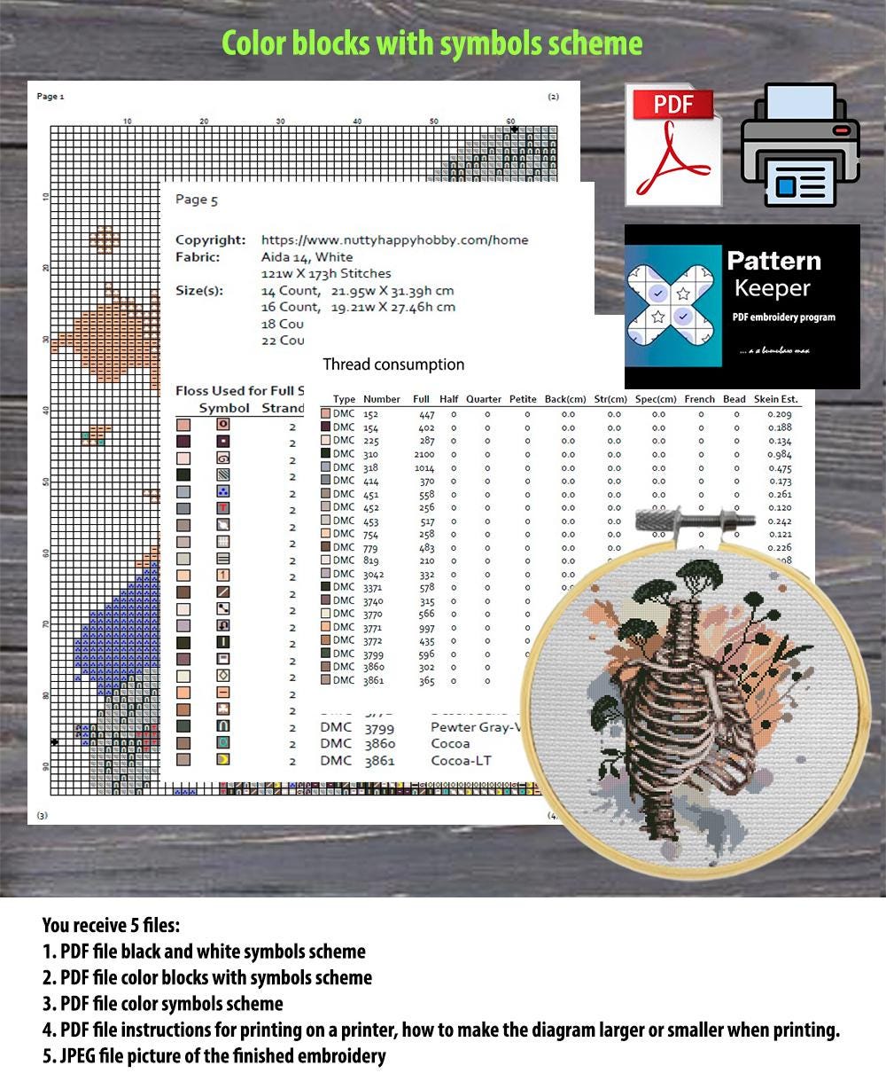 Vertebrae Anatomy Cross Stitch Pattern PDF, Vintage Spine Illustration ...