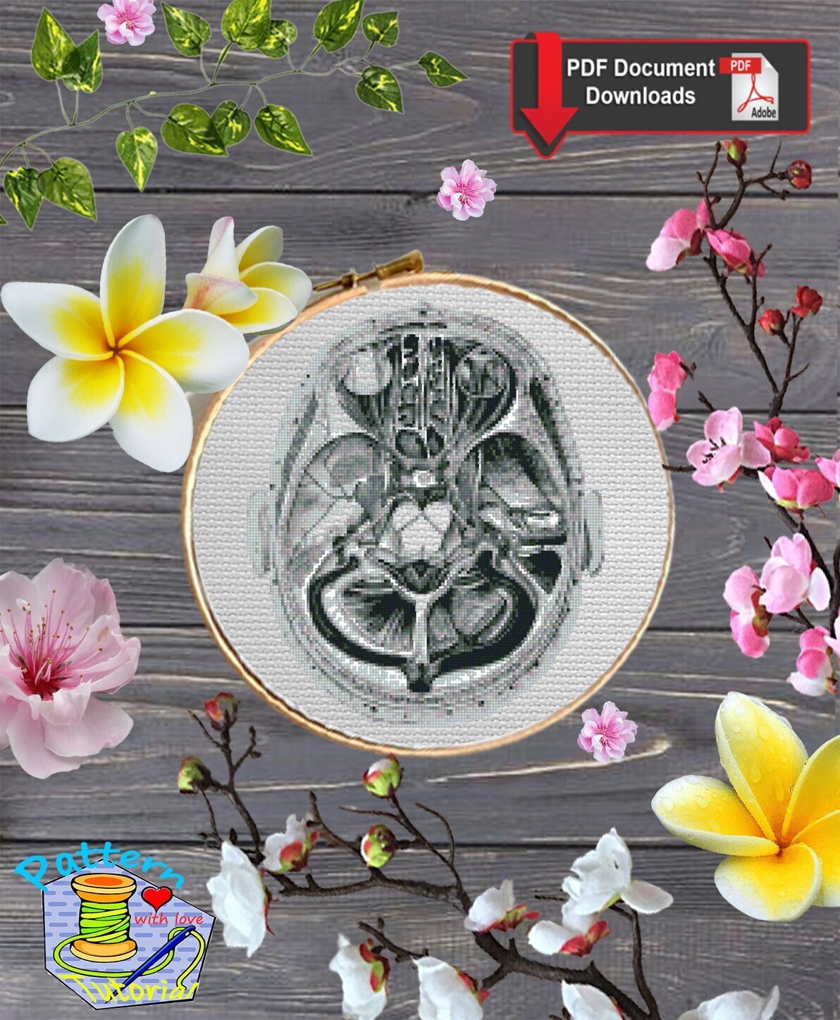 Black and white anatomy of the skull, the brain from inside, the structure of the skull, brain, medical science, Anatomical, Anatomy