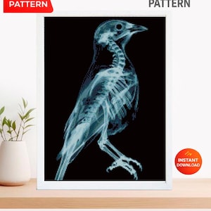 Kreuzstichmuster Vogelanatomie (PDF), Rabenskelett-Stickvorlage, Röntgenvogel-Motiv, gotischer Kreuzstich, Dark-Academia-Dekoration, Download