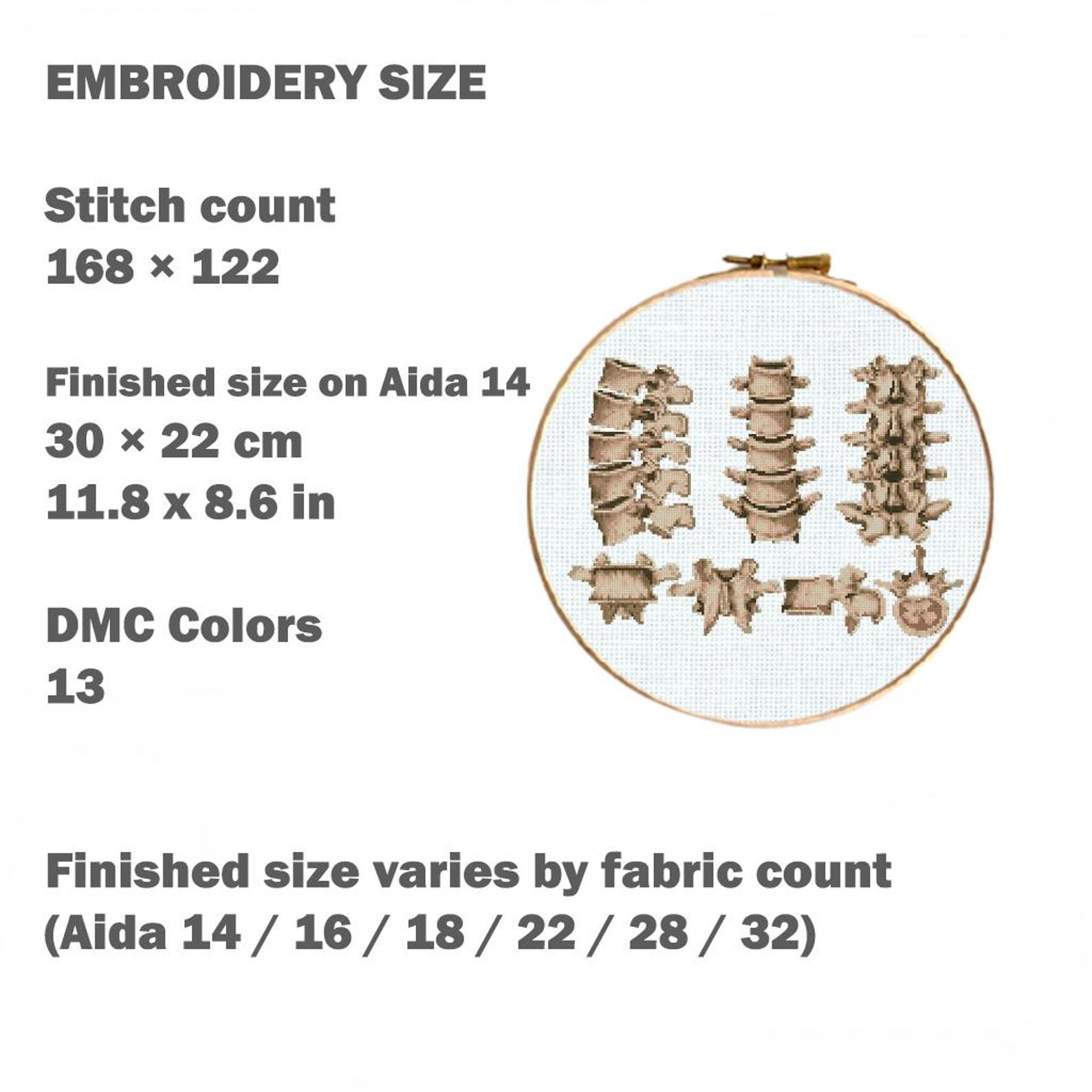 Vertebrae Anatomy Cross Stitch Pattern PDF, Vintage Spine Illustration ...