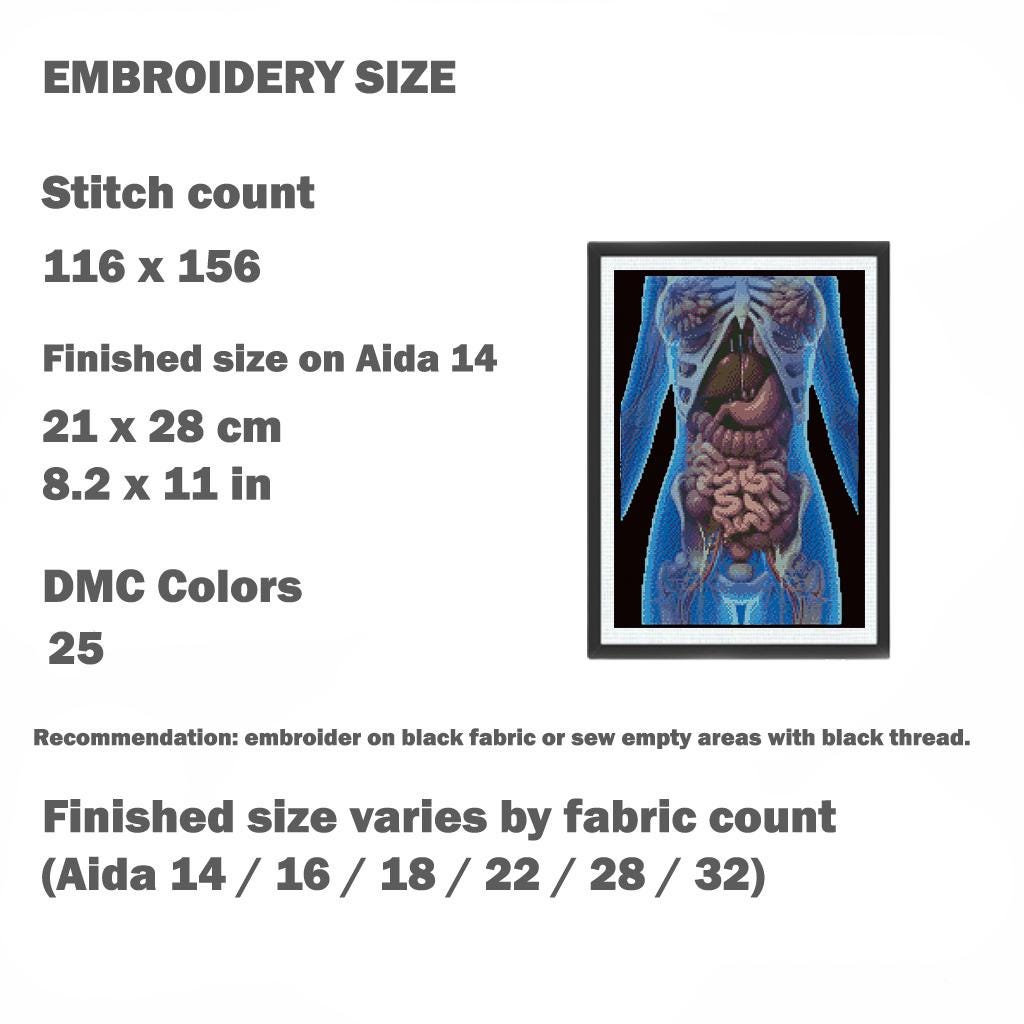Human Internal Organs Cross Stitch Pattern PDF, Anatomical Torso ...