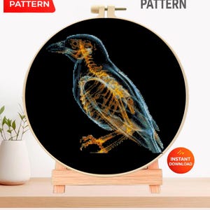 Kruissteekpatroon van een vogel met röntgenfoto (PDF), borduurontwerp van een vogelanatomie, muurdecoratie met een skelet van een wild dier (downloadbaar), Pattern Keeper, digitaal