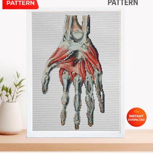 Patrón de punto de cruz de mano anatómica (PDF), gráfico de bordado de músculos y huesos de la palma humana, ilustración médica vintage, regalo para doctor.