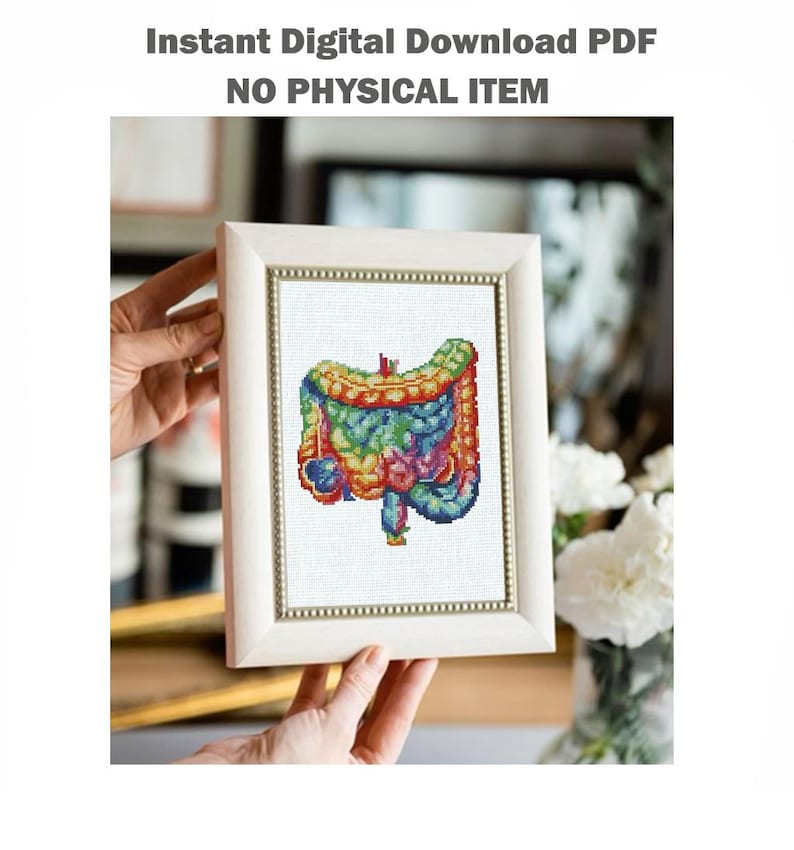 Instestine Pattern Intestine Cross Stitch Pattern PDF Anatomy Embroidery Design Human ...