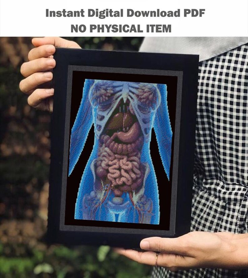 Human Body Intarsia Pattern Human Internal Organs Cross Stitch Pattern PDF, Anatomical Torso ...