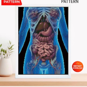 Human Internal Organs Cross Stitch Pattern PDF, Anatomical Torso Anatomy Embroidery Design, Medical Student Wall Art Instant Download
